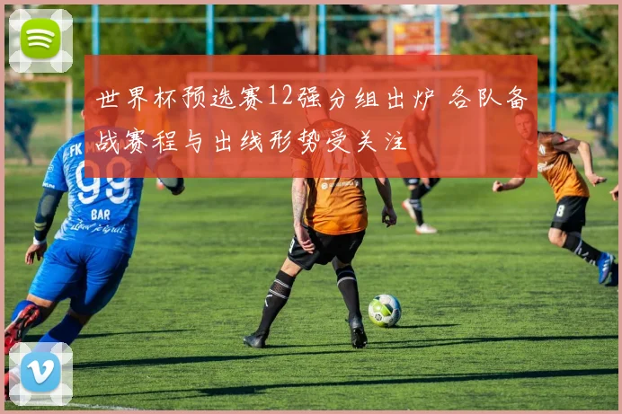 世界杯预选赛12强分组出炉 各队备战赛程与出线形势受关注