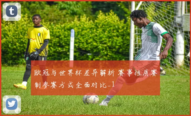 欧冠与世界杯差异解析 赛事性质赛制参赛方式全面对比_1