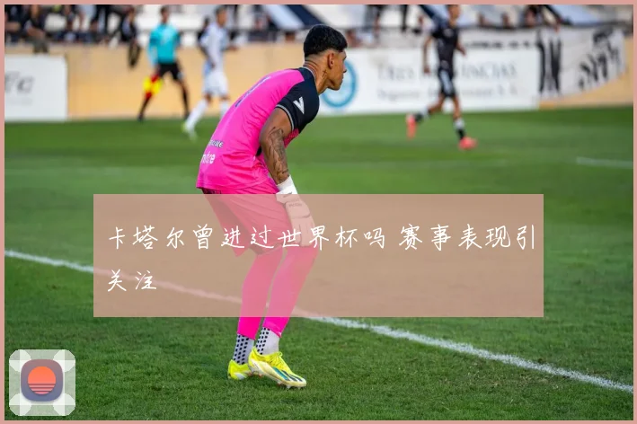 卡塔尔曾进过世界杯吗 赛事表现引关注